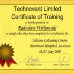 Certyfikat 2003.06.26 szkolenie Swansea